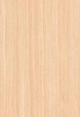4041 Anegré poloradiál
