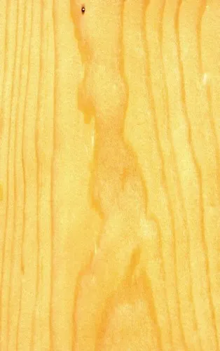 Borovica