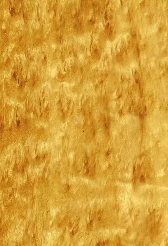 Eukaliptus