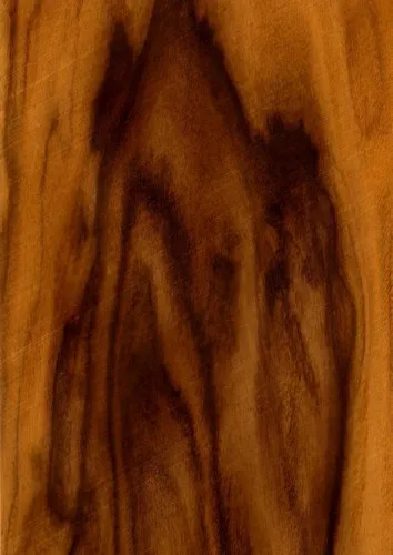 Palisander Brazílsky