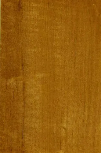 Teak